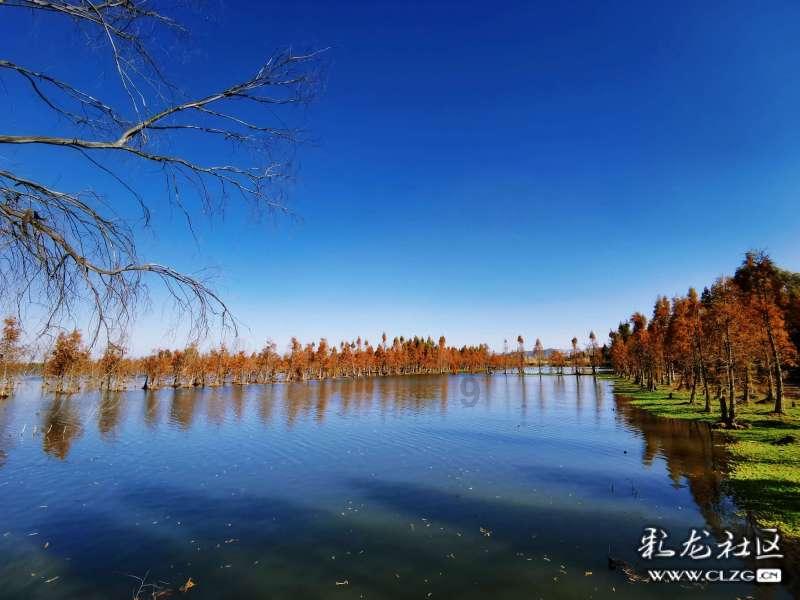 纪念钞下一站，蛇年币钞来了？怎么约