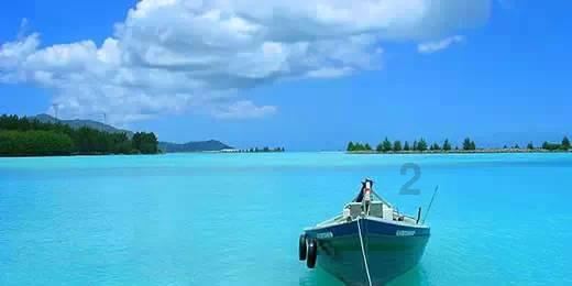 沪江开心词场