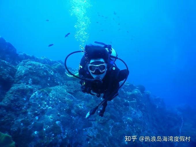 森迪公主的夏日服装