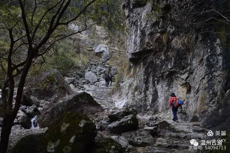 【洪观快评】春运火车票打折，引导旅客“双向奔赴”