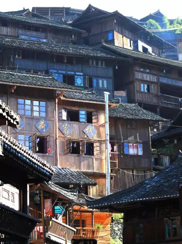 揭秘广西隐藏款特产：特色产业领跑 打造乡村振兴新密码